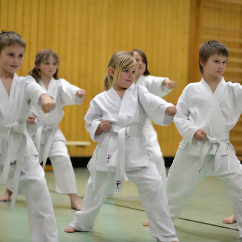 Karate - Kihon