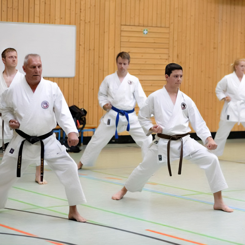 Karate - Kihon
