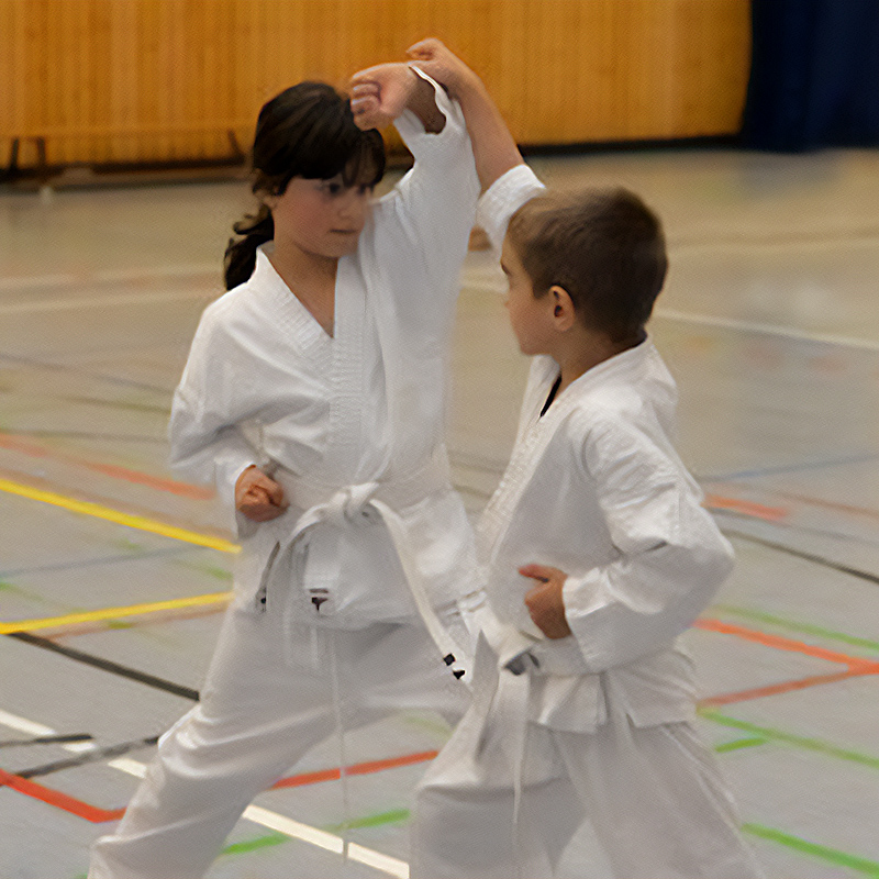 Karate - Kumite