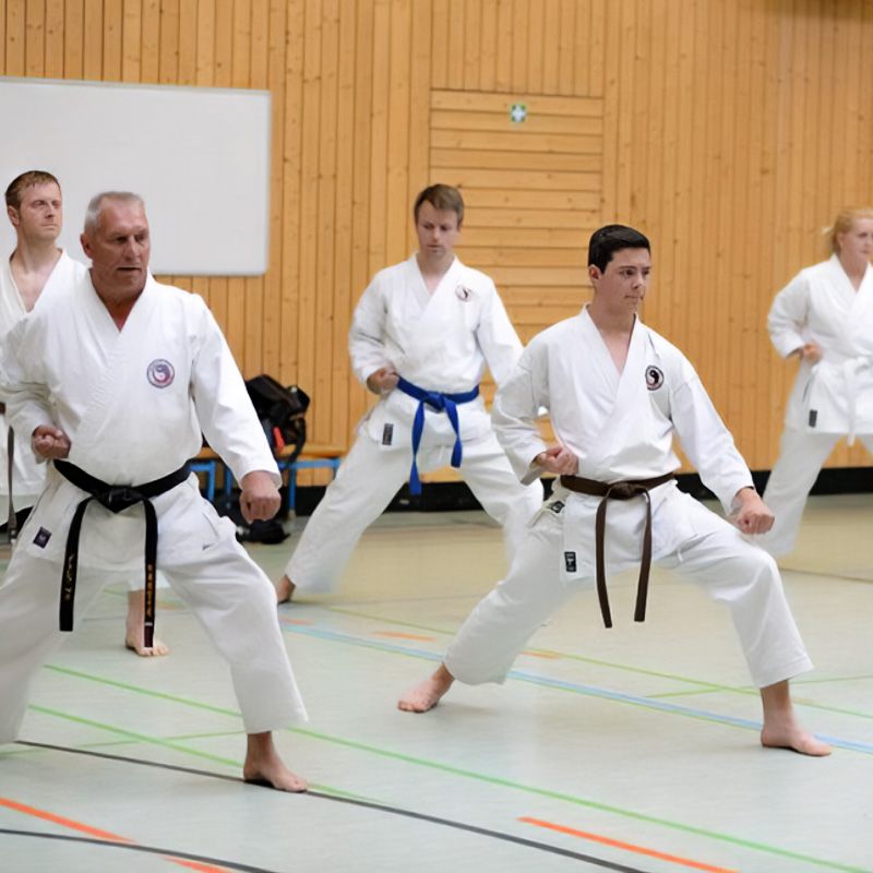 Karate - Kihon